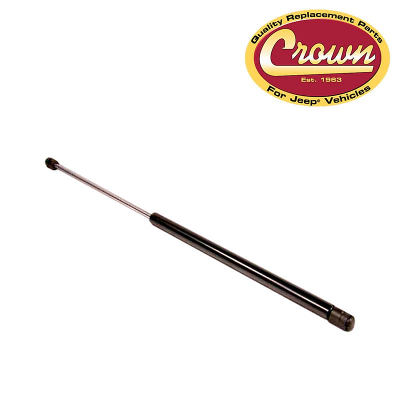 AMORTIGUADOR-PORTON-TRASERO-ESTANDAR-55029558