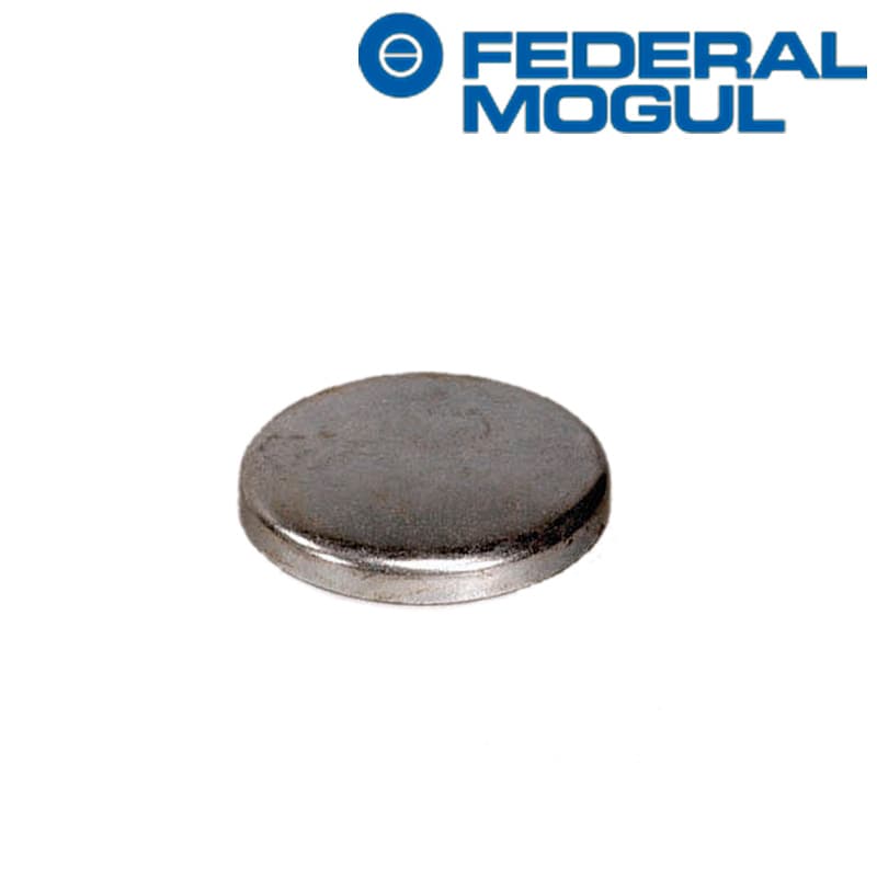 Tapon-antiheladas-trasero-Arbol-de-levas-2.5-L.-1355.04-3172313